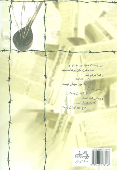 آئینه زار